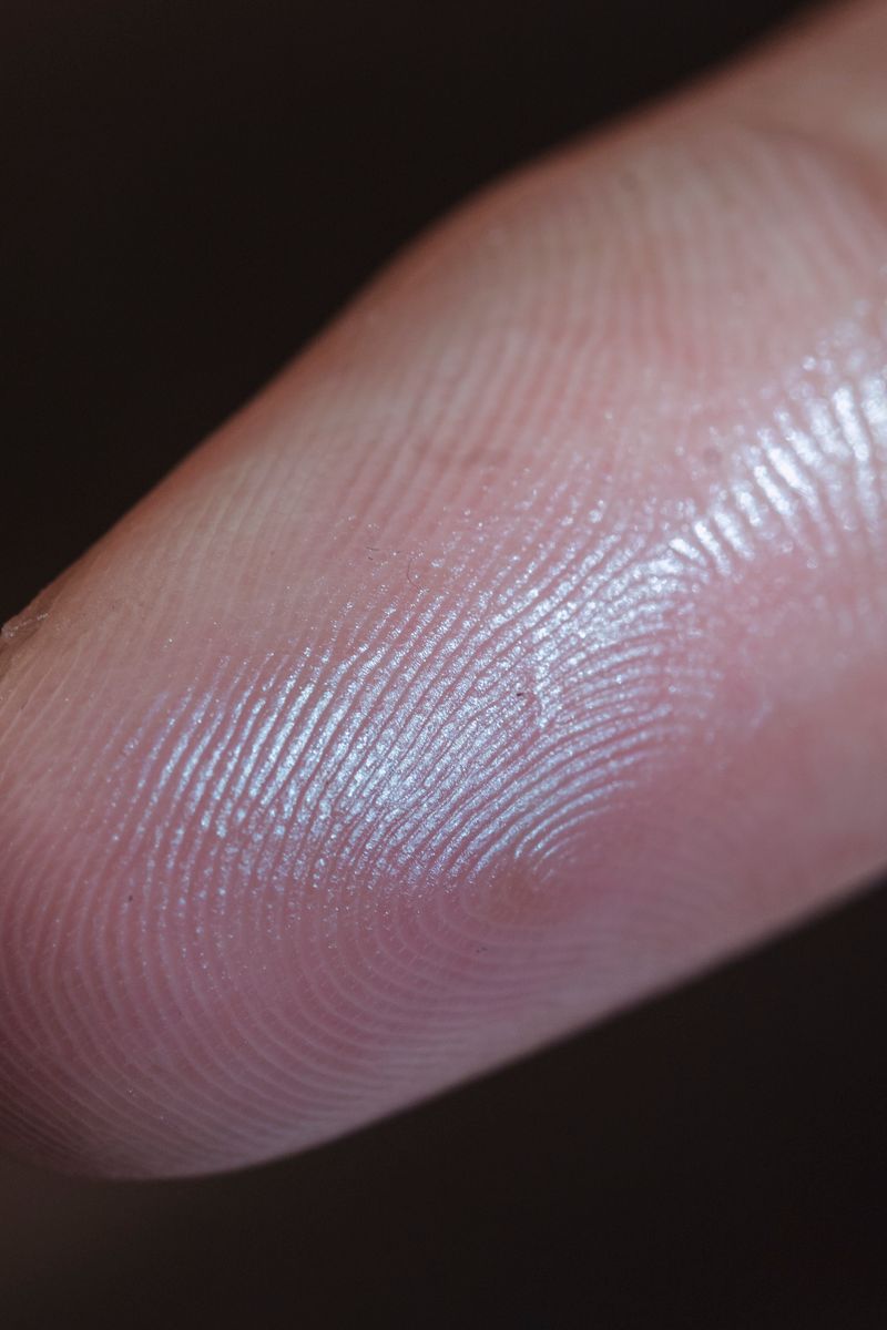 Macro photograph of a human fingerprint